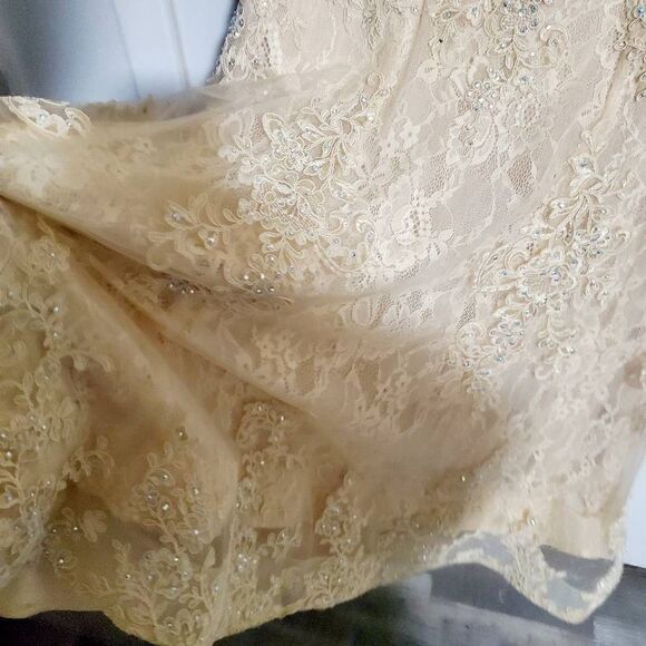 Champagne Color Wedding Gown Size XS/S Petite - Picture 6 of 12